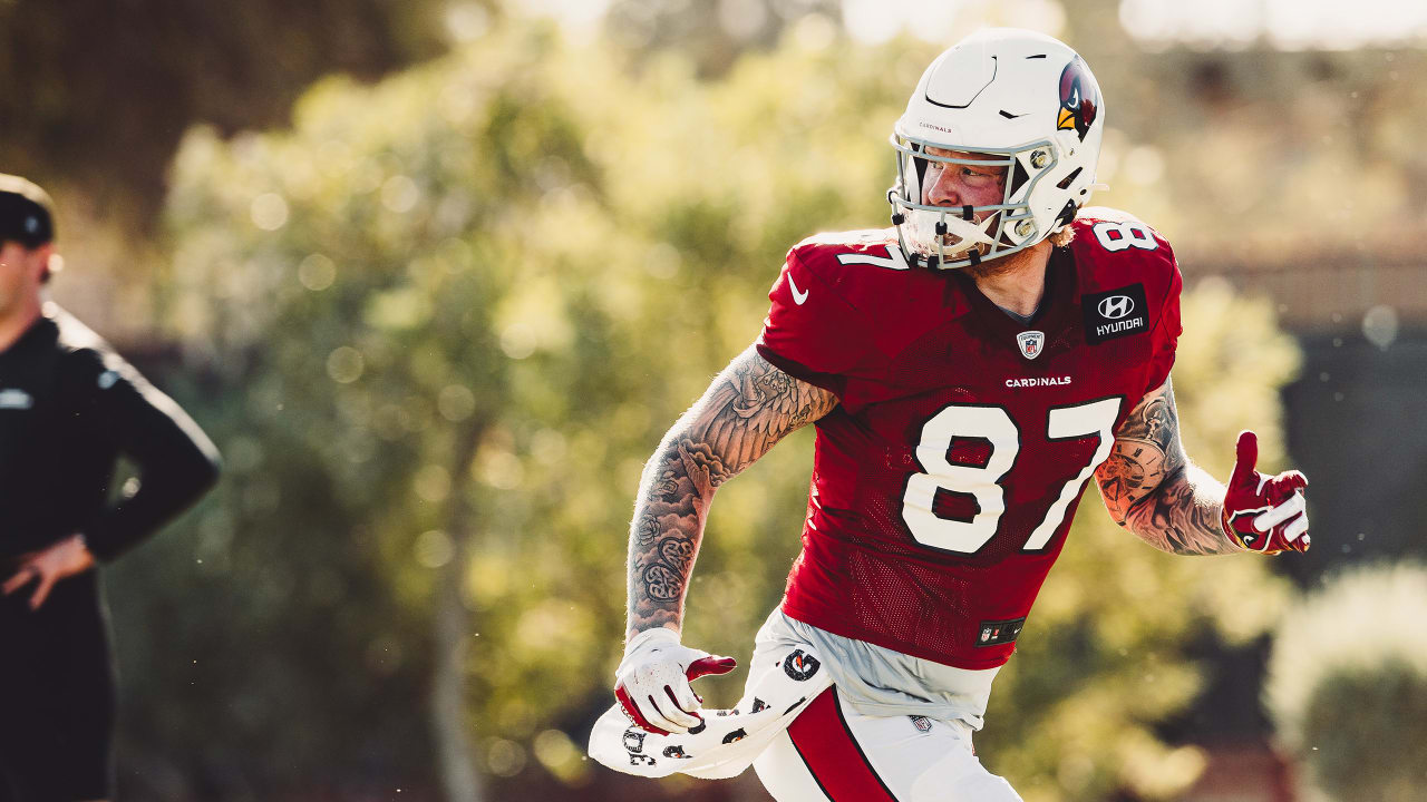 Cardinals Activate Maxx Williams, Bring Up D.J. Foster