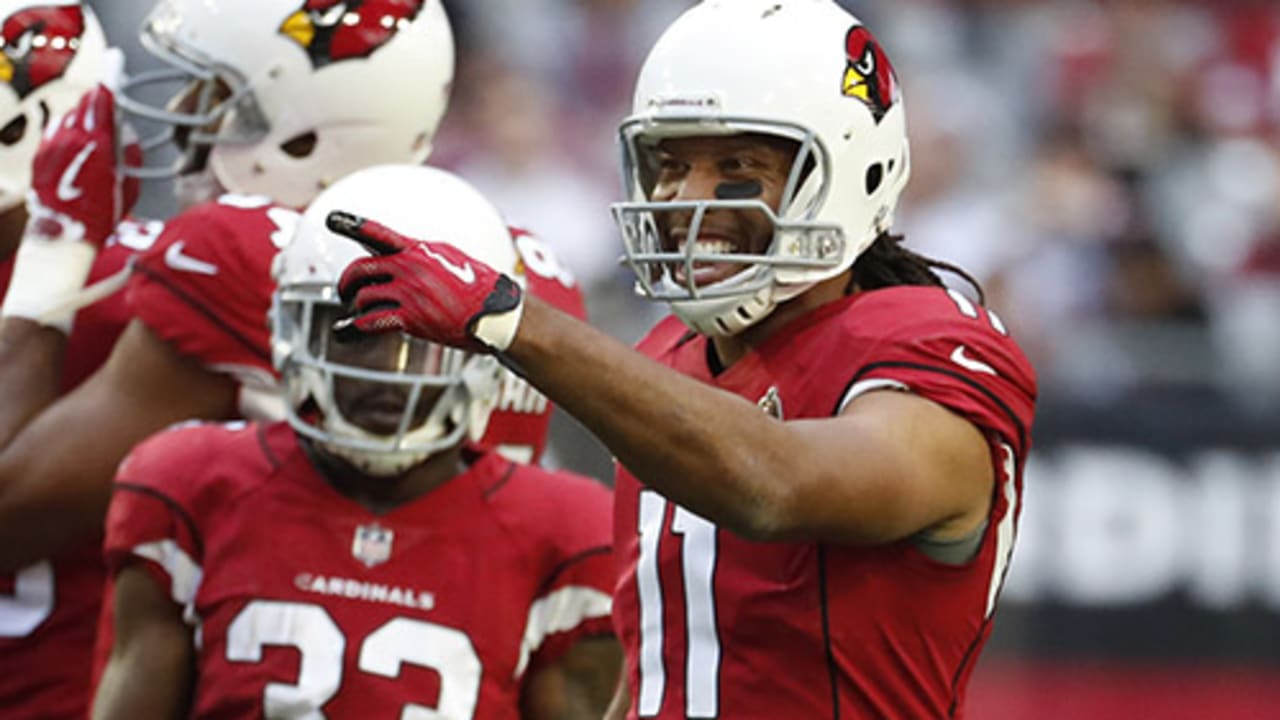 No return imminent for Larry Fitzgerald - Revenge of the Birds