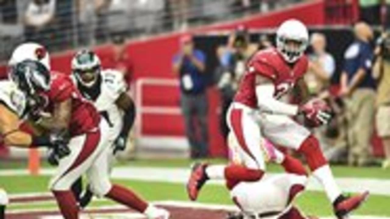 Antonio Cromartie headed to the Pro Bowl - Revenge of the Birds