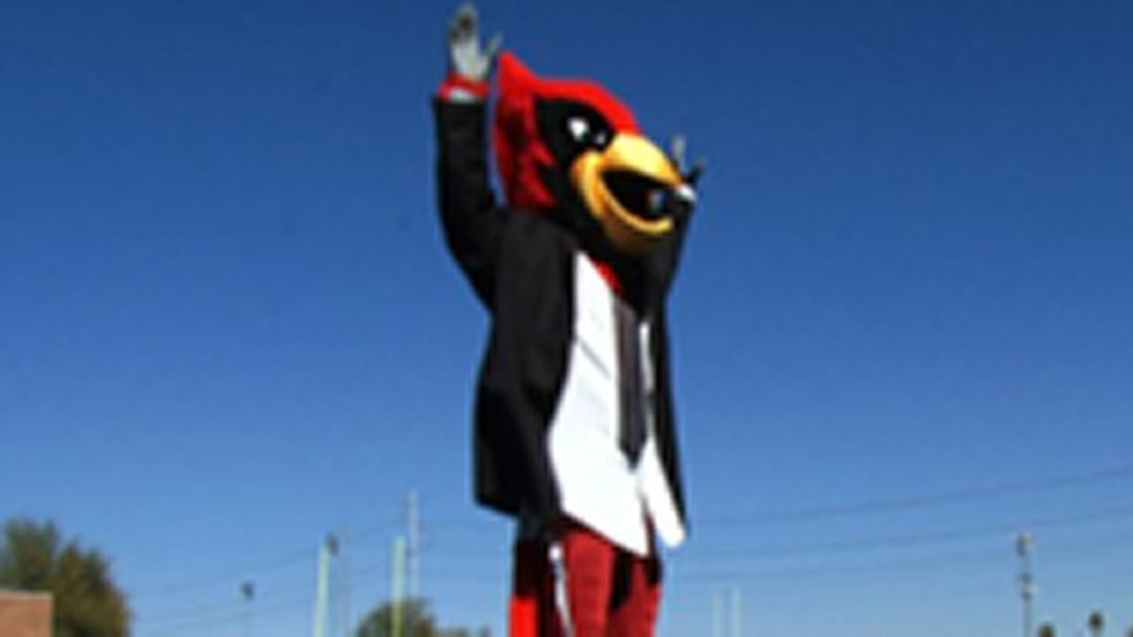 The Arizona Cardinals mascot Big Red takes the field during the