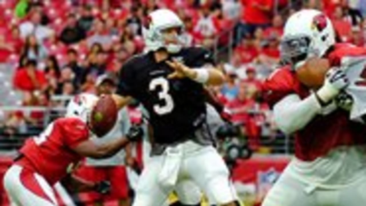 Carson Palmer's Perfect TD Bomb to J.J. Nelson