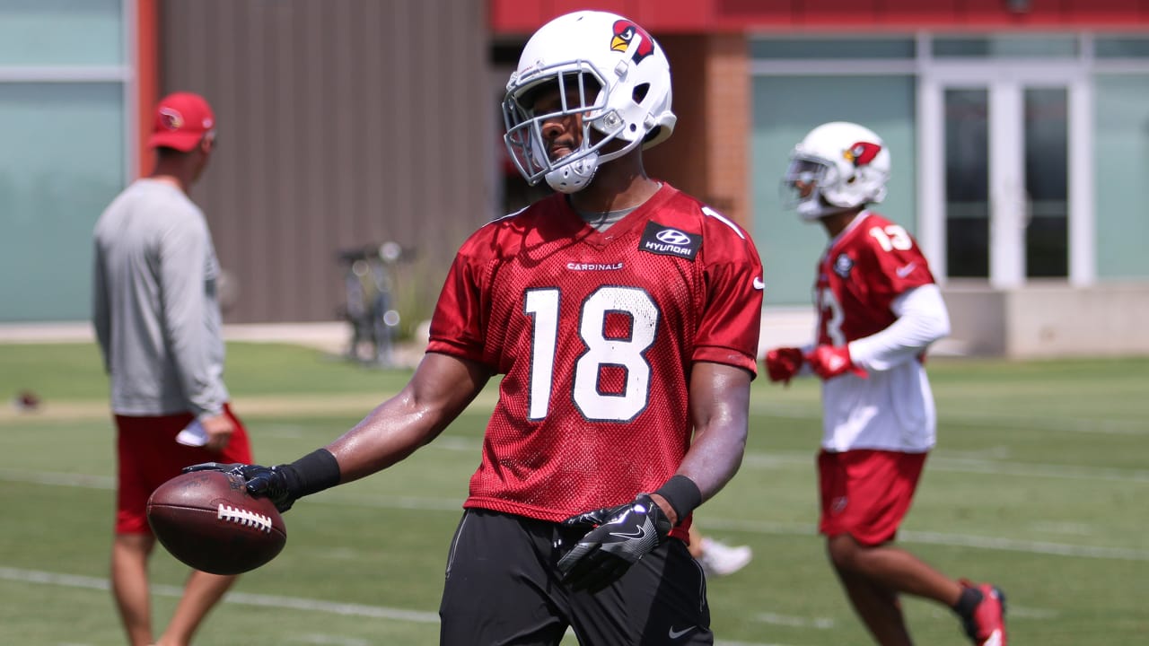 Released Cardinals receiver Brice Butler re-joins Cowboys