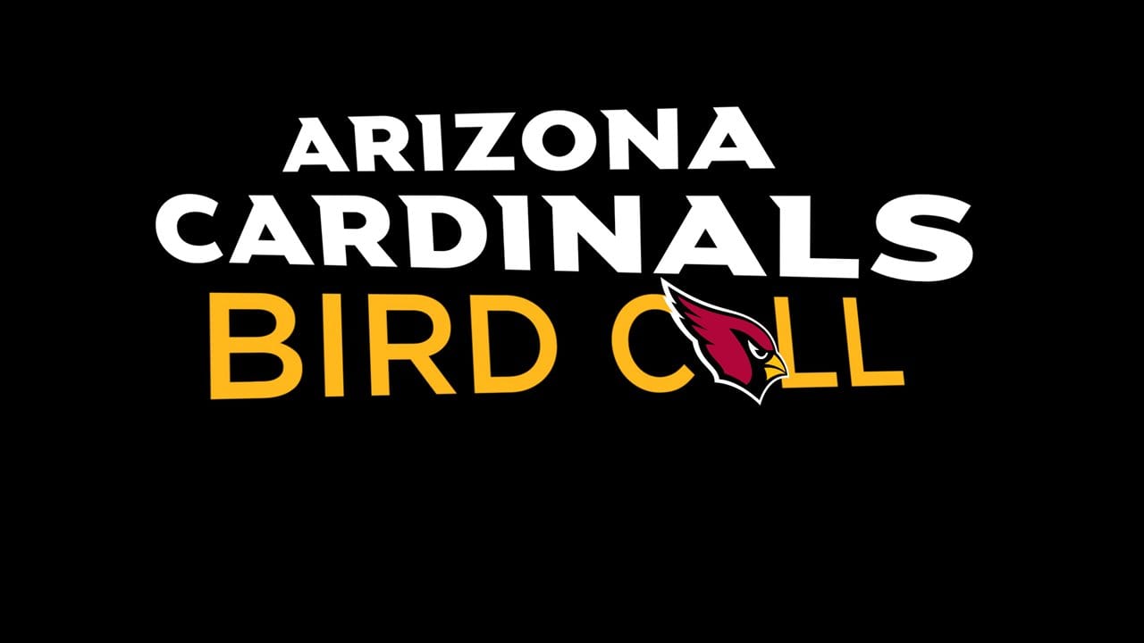 Arizona Cardinals Bird Call - Midseason Report