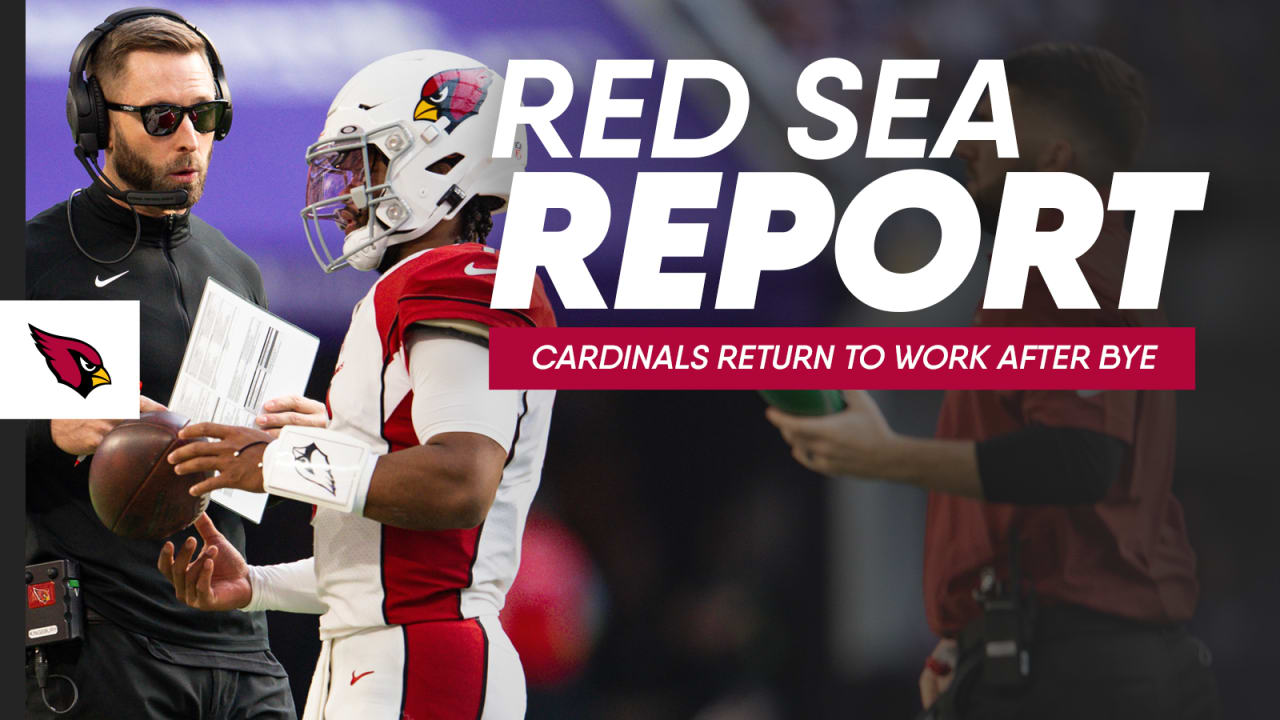 Red Sea Report - Cardinals Return To Work After Bye