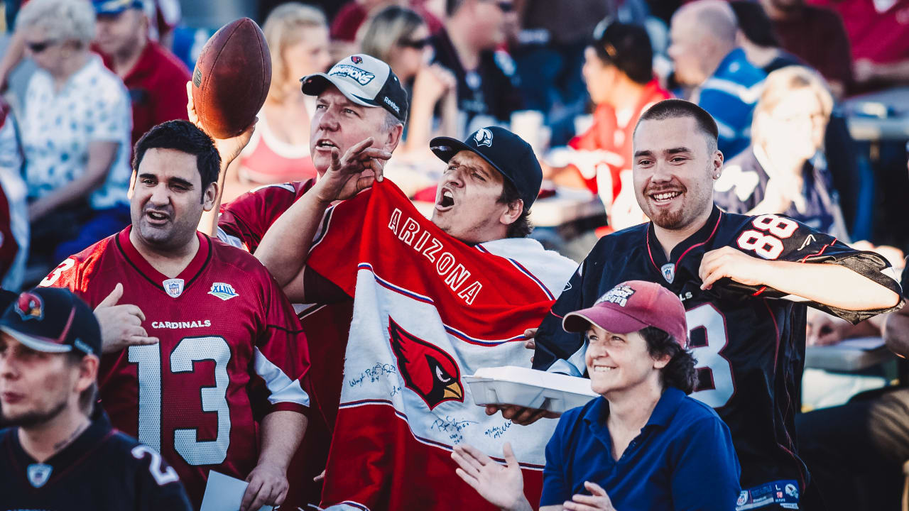 Personalized Arizona Cardinals Mascot NFL Baseball Jersey - T-shirts Low  Price