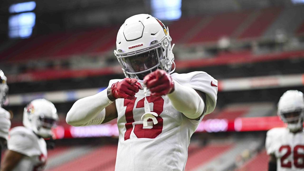 Cardinals training camp roster preview: DL Eric Banks