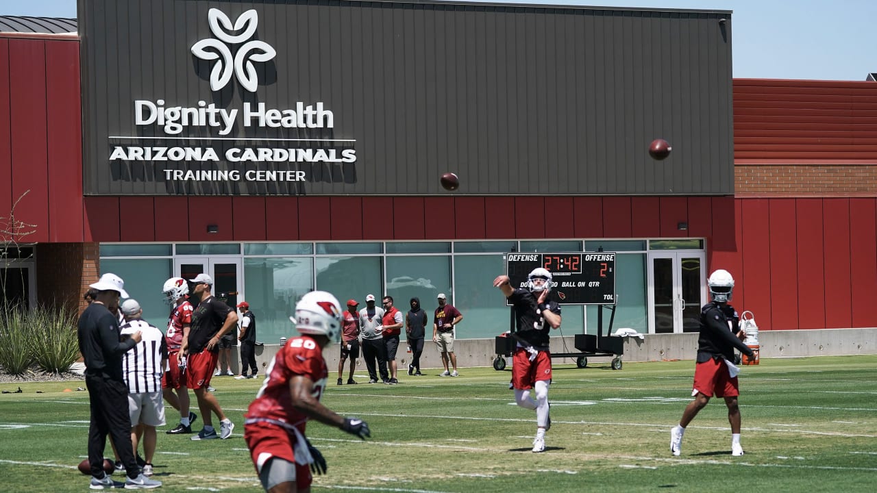 Arizona Cardinals Training Camp: The DNA of the New Defense