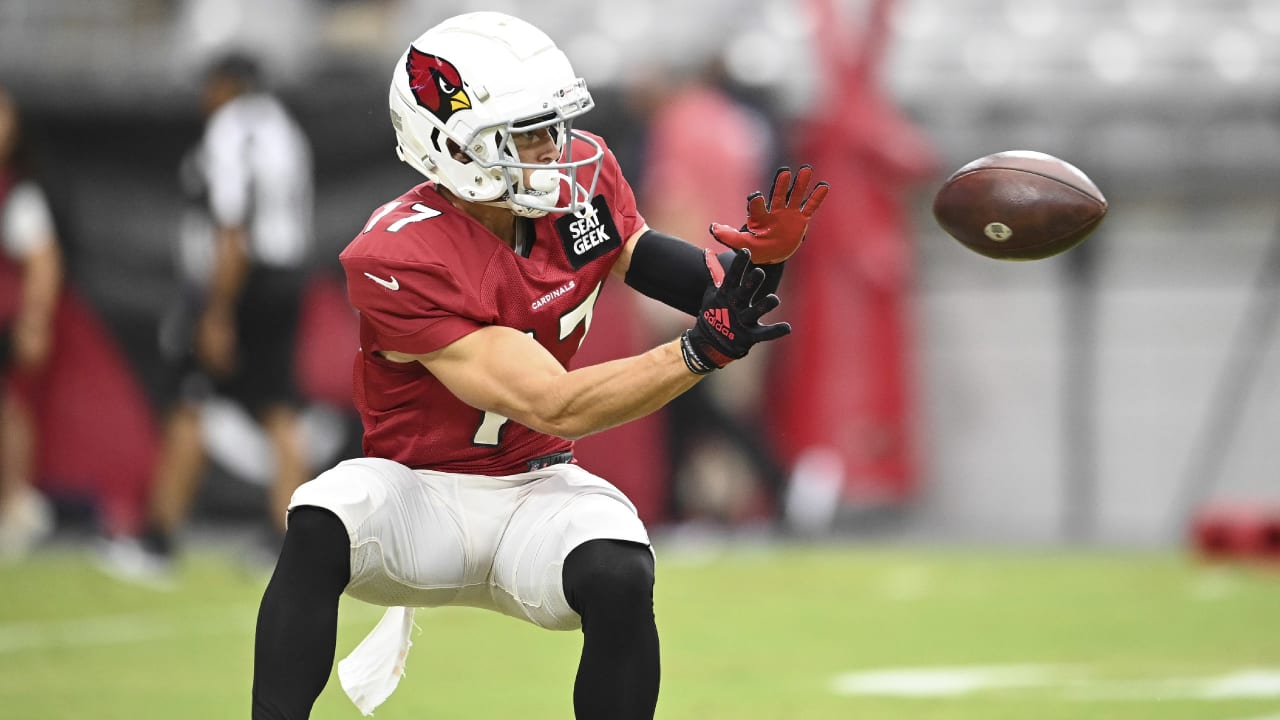 Bird Droppings: Arizona Cardinals ready for first preseason game, initial  depth chart reaction and more - Revenge of the Birds