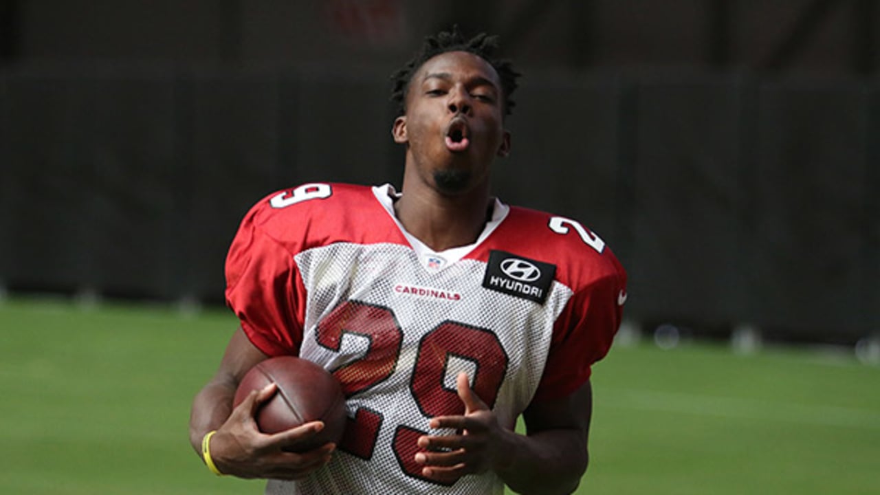 Fantasy Football: Arizona Cardinals RB Kerwynn Williams to start