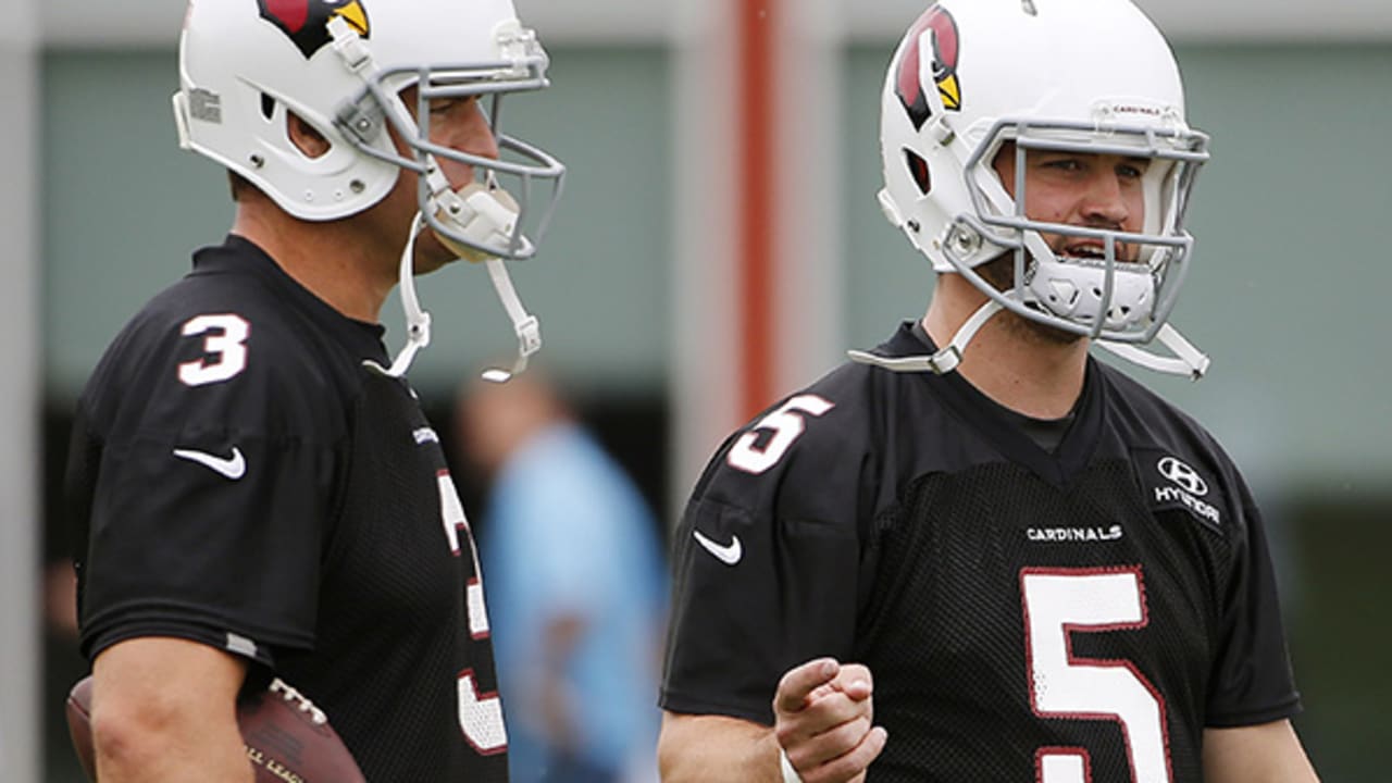 Larry Fitzgerald, Carson Palmer in a hurry for success