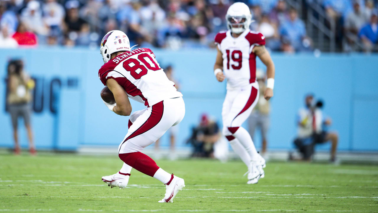 Arizona Cardinals tight end Bernhard Seikovits (43), of Austria