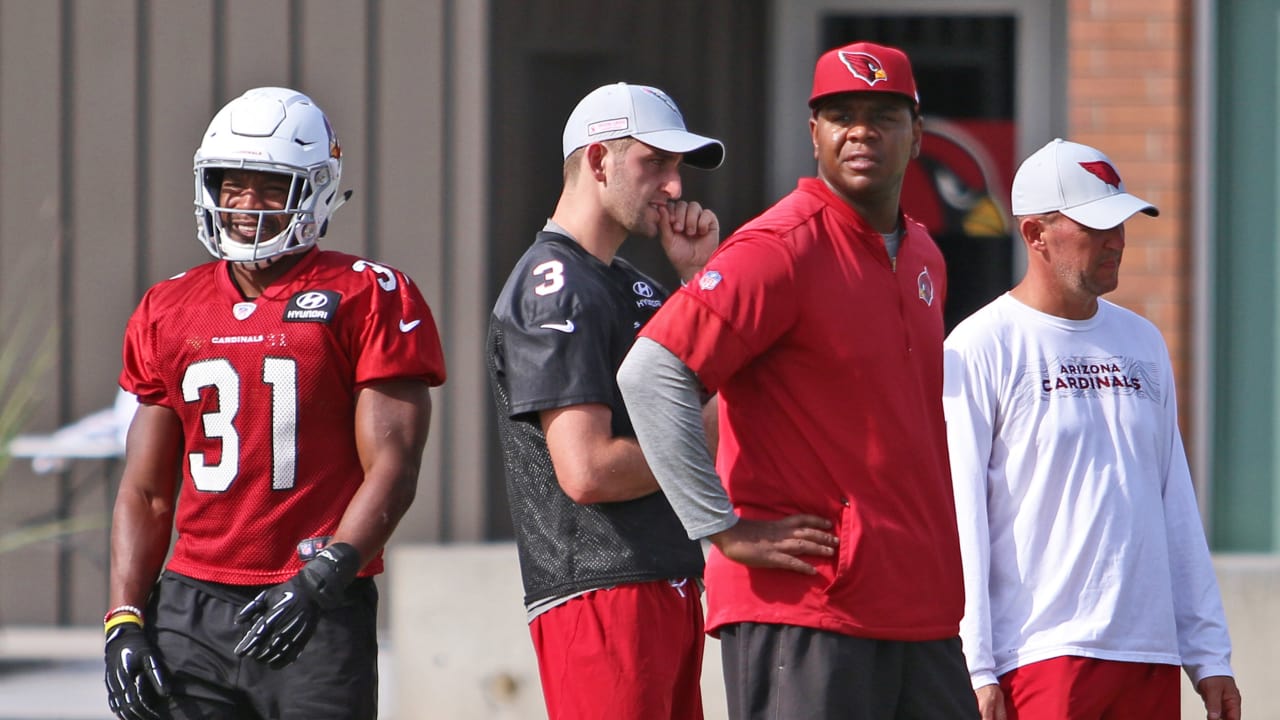 Arizona Cardinals promote Byron Leftwich to offensive coordinator