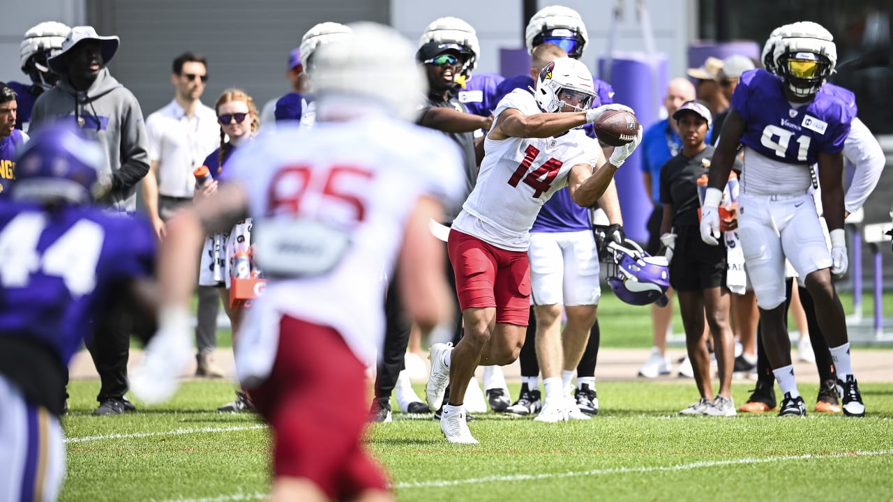 Takeaways From Arizona Cardinals Preseason Finale vs Minnesota Vikings -  Sports Illustrated Arizona Cardinals News, Analysis and More