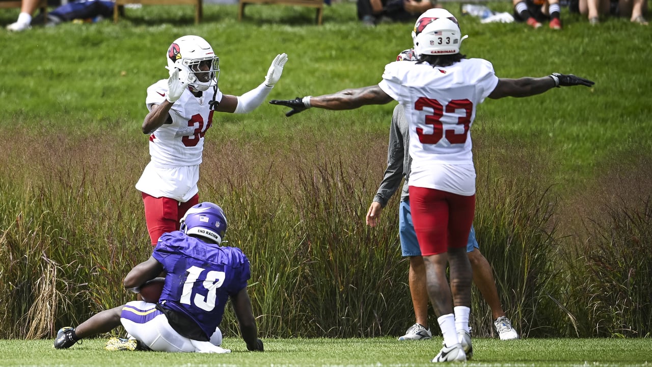 NFL announces Arizona Cardinals game in Mexico City on Monday Night  Football - Revenge of the Birds