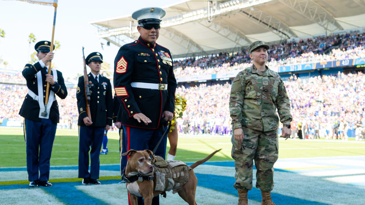 Bengals to honor Military during halftime of Steelers game