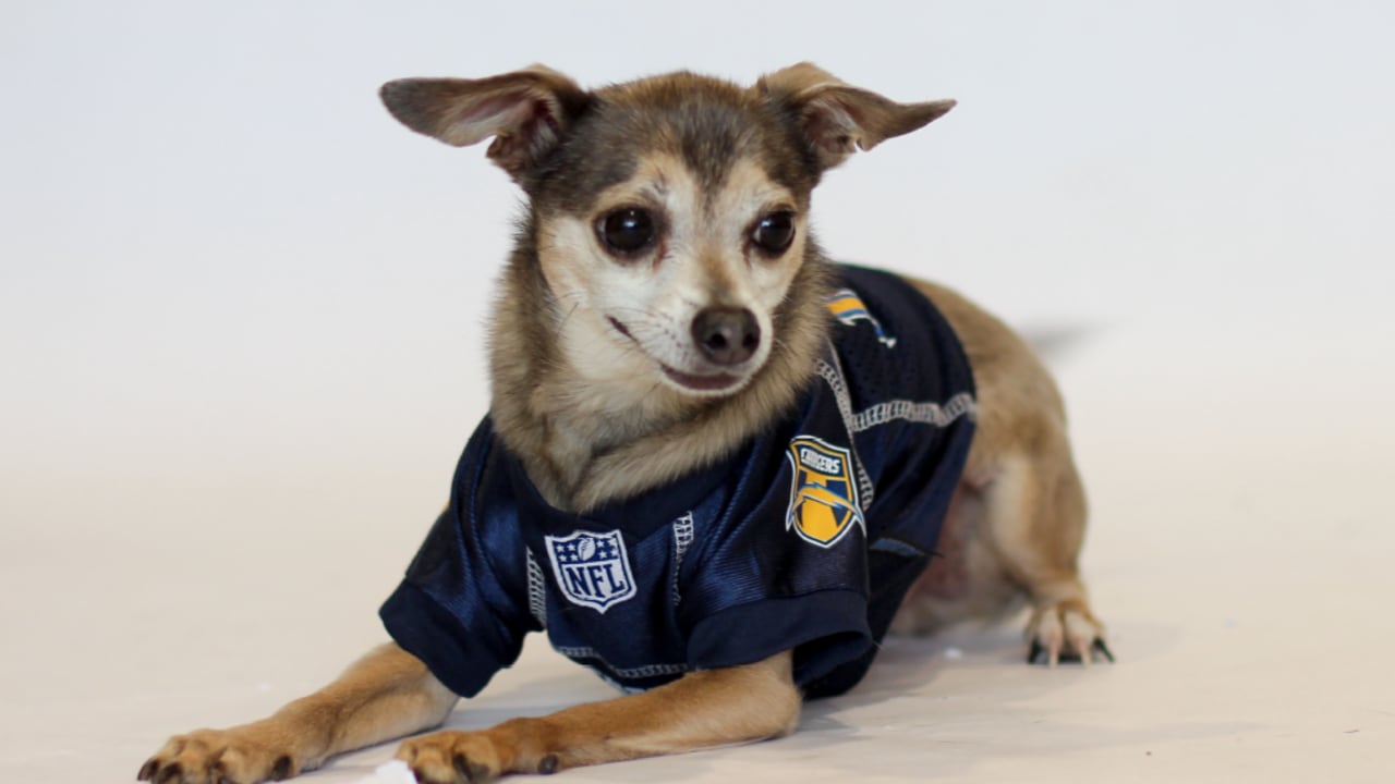 Chargers Spreading Awareness About Dog Rescue through Dog Draft