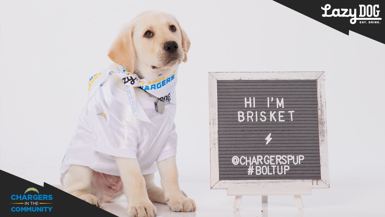 Los Angeles Chargers Dog Jersey