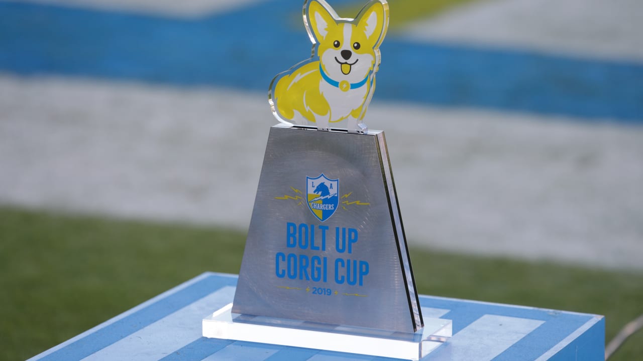 Halftime Show 2019 Bolt Up Cup