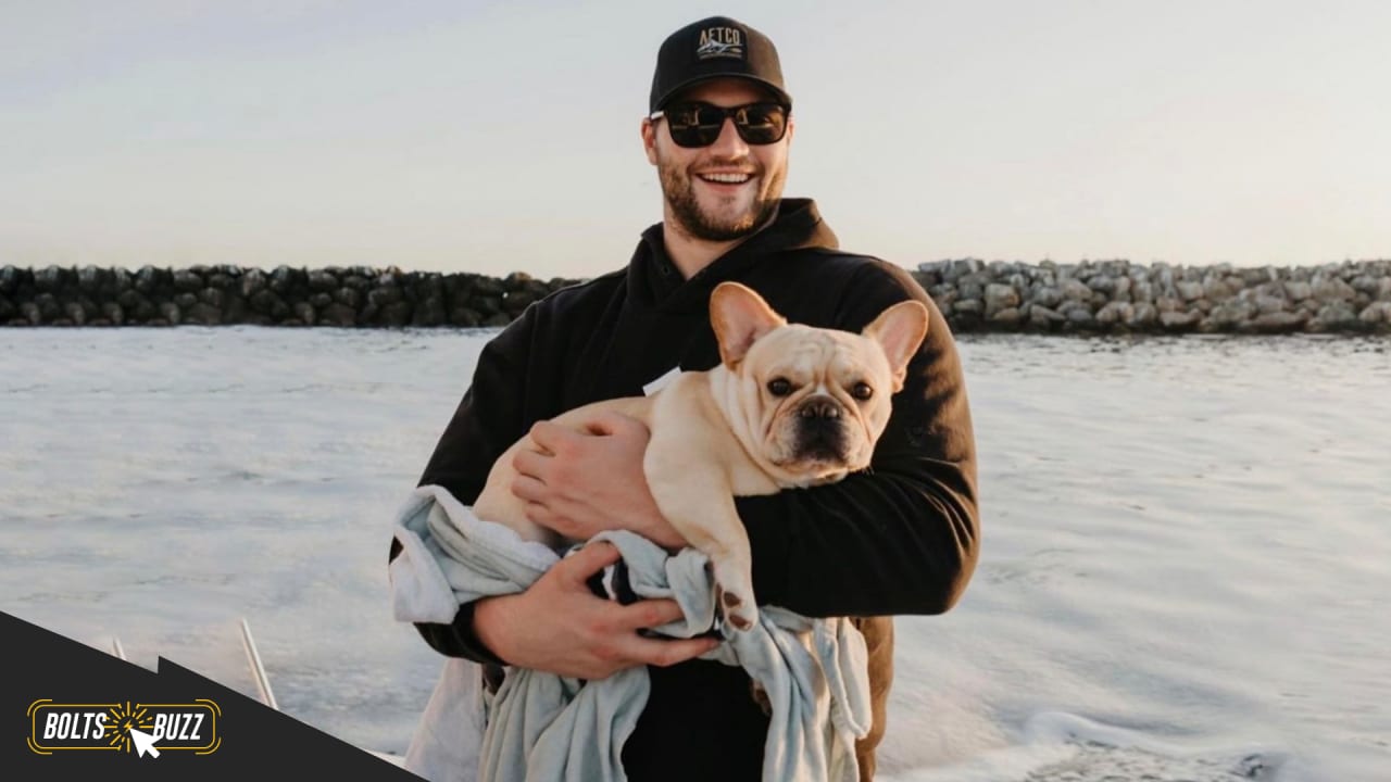 NFL dogs at practice and on the field