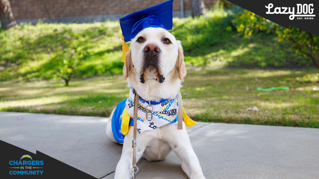 Canine Companions, Los Angeles Chargers Welcome Second Puppy - Canine  Companions