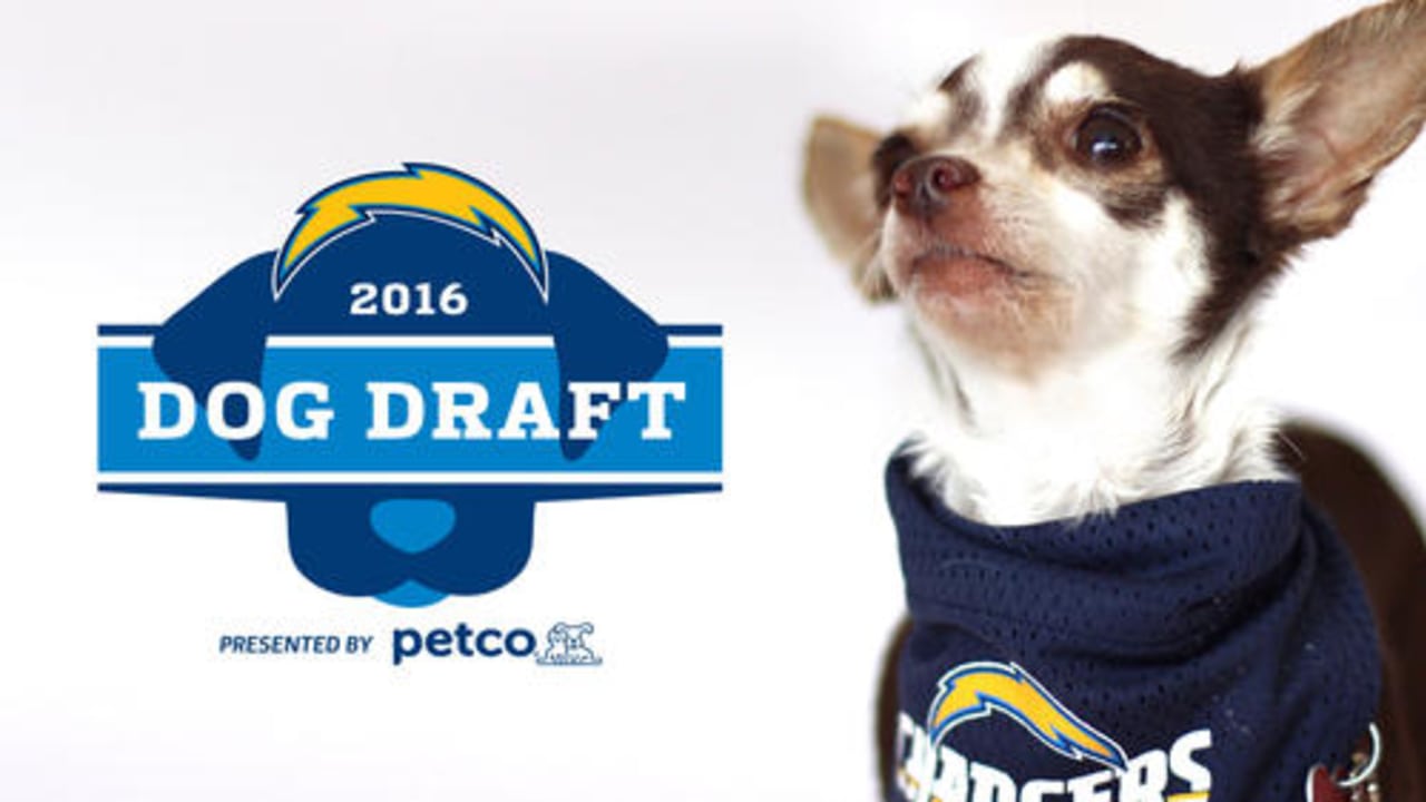 San Diego Chargers Host Dog Draft For Shelter Pups Needing A Forever  Team