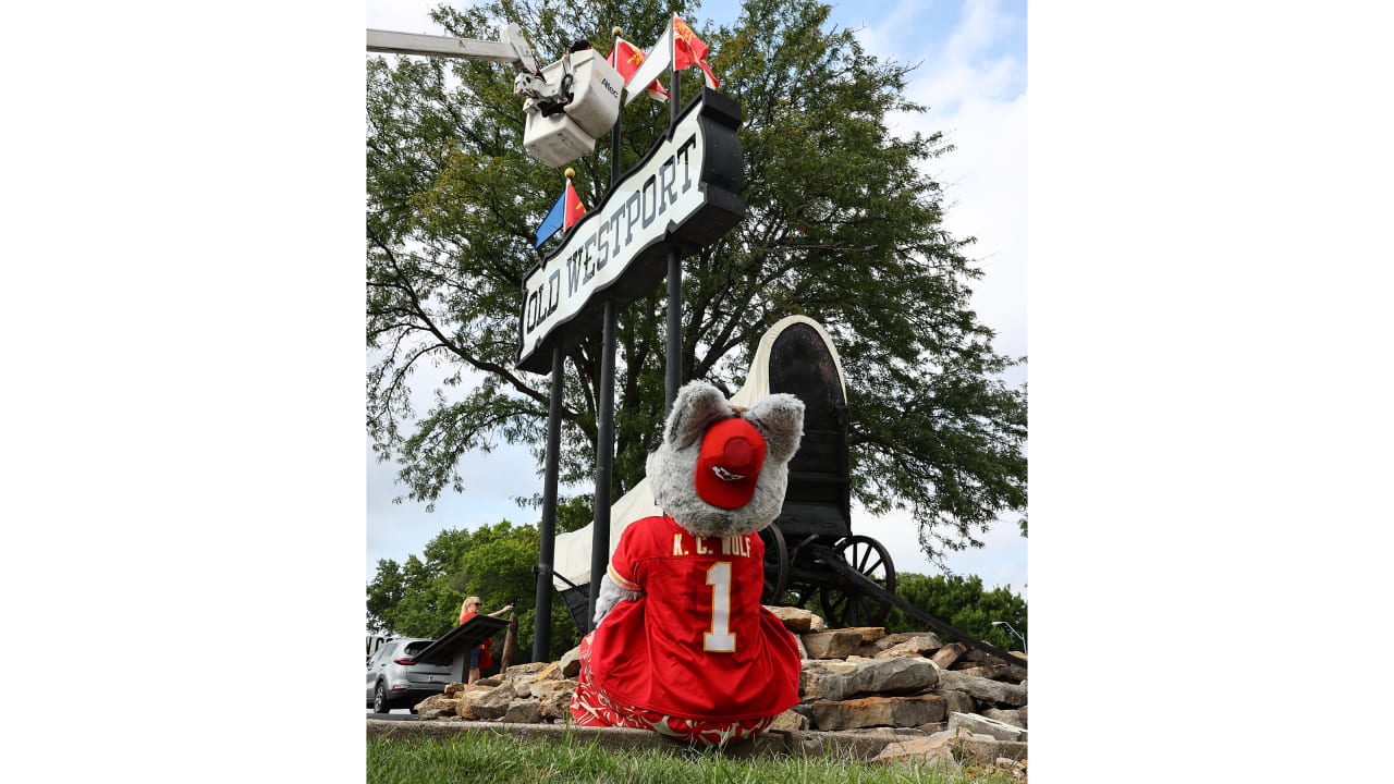 BIG RED Arizona Cardinals Mascot Statue 12" NFL Figurine 2019