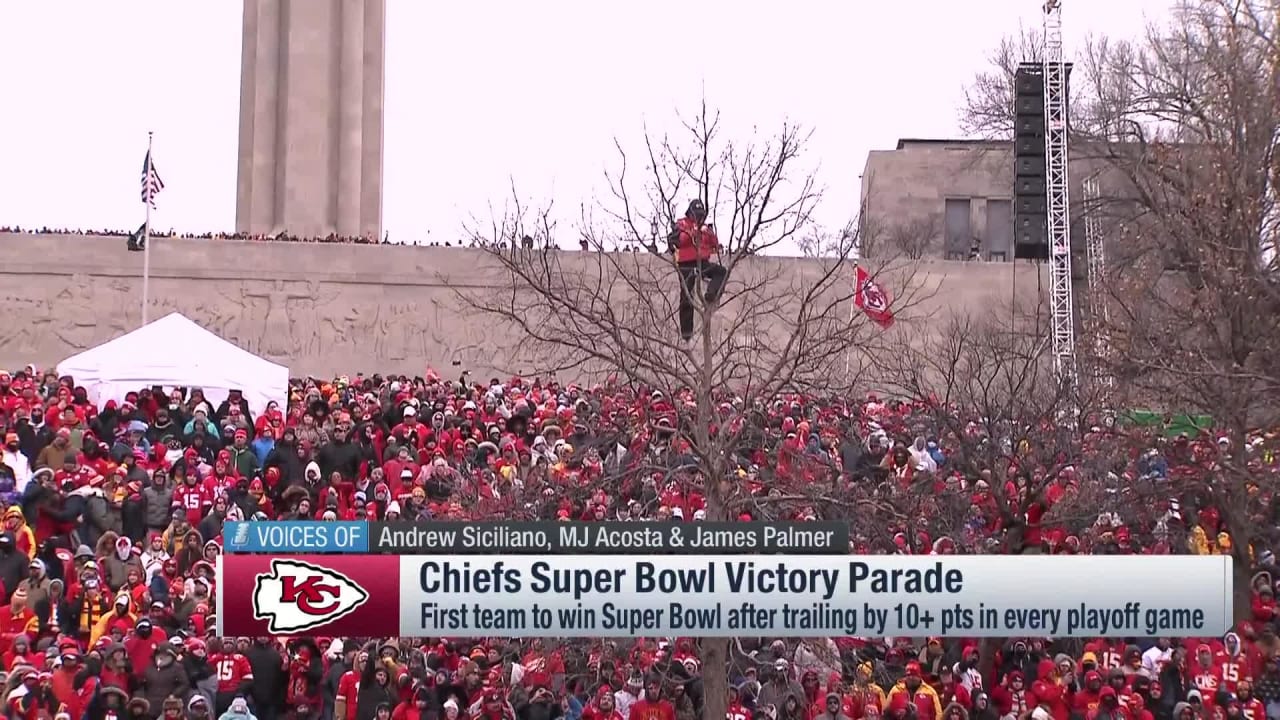 Fan Watches Chiefs' Super Bowl LIV Victory Parade from a Tree