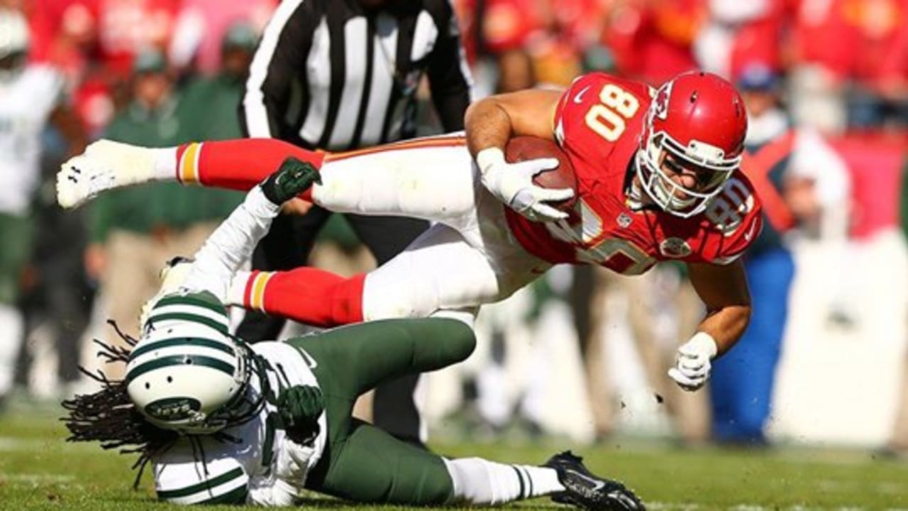 Tony Gonzalez Facts & Stats