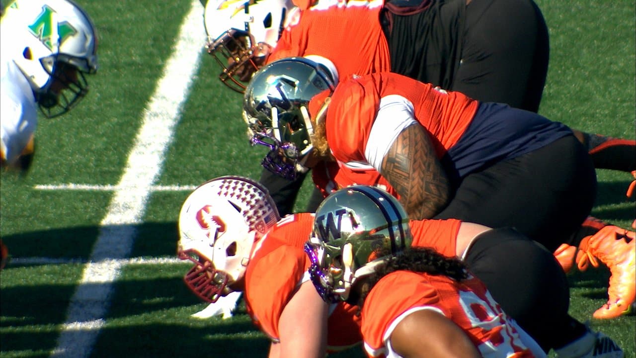 Danny Shelton Highlights