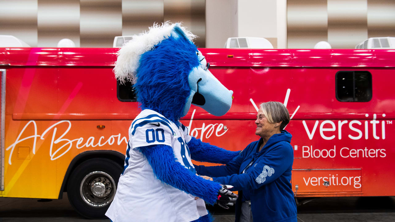 Indianapolis Colts Build-A-Bear Mascot