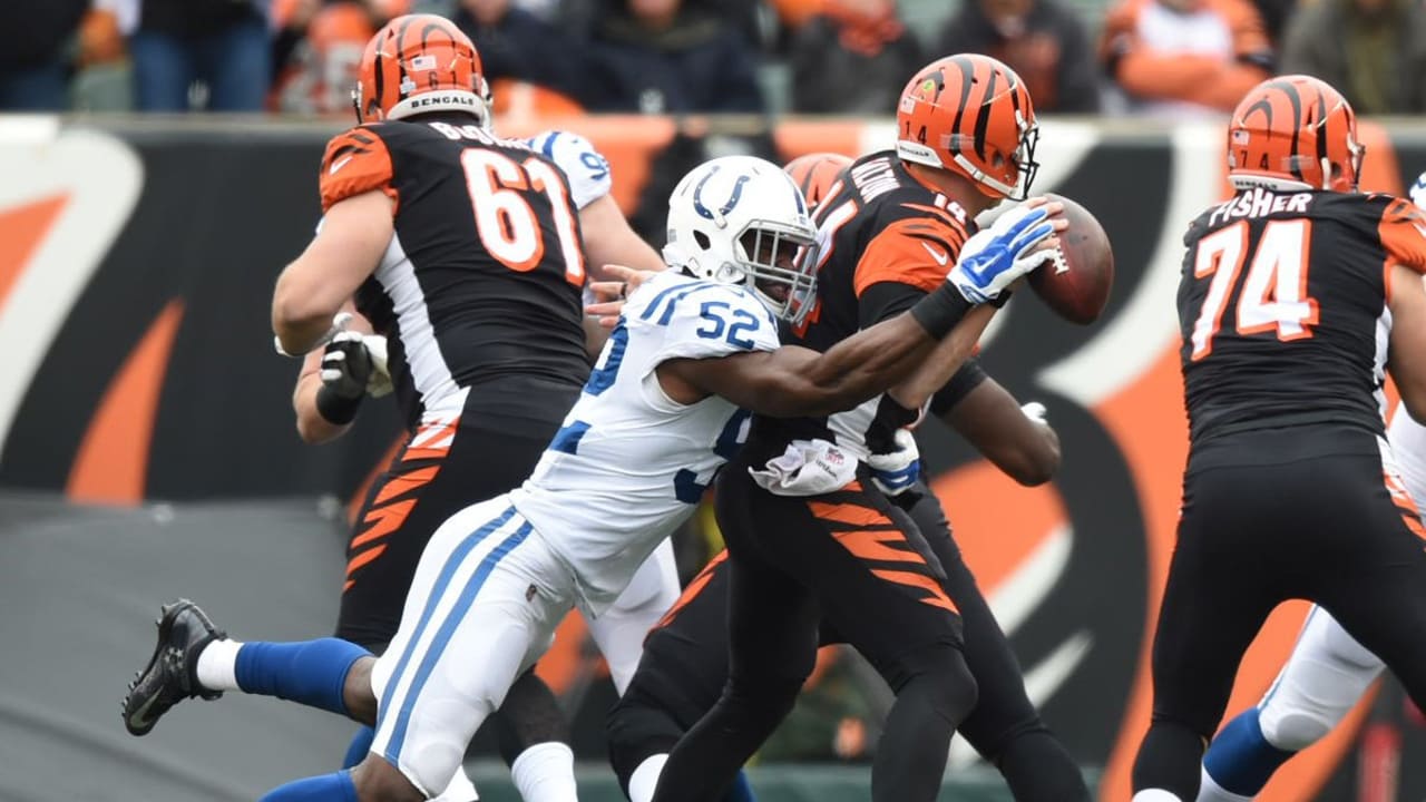 Colts Bengals Week 8 (Gameday Photos)