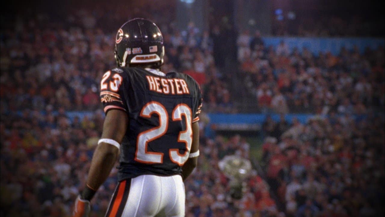 devin hester super bowl jersey