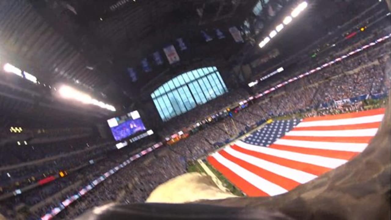 Bald eagle cam in Lucas Oil Stadium
