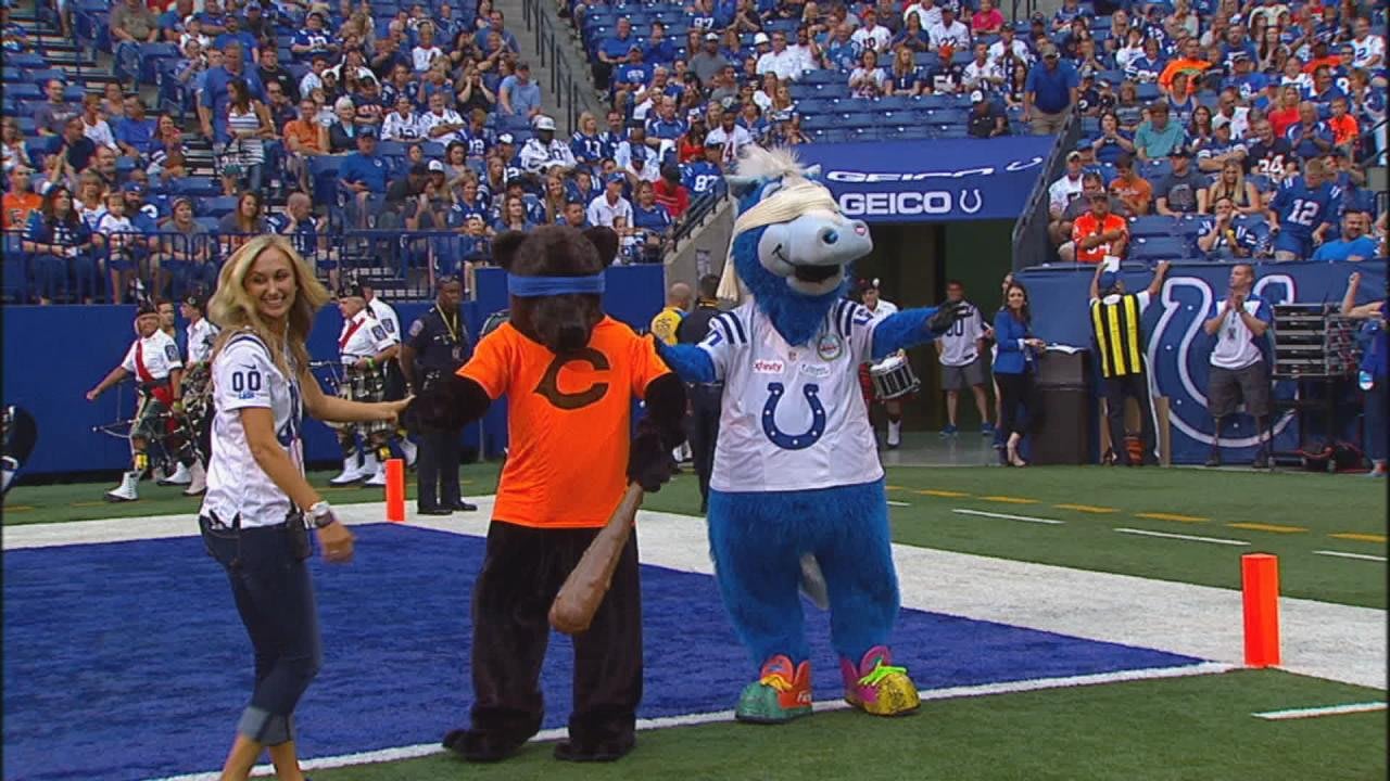 WATCH: Colts cheerleader gets on-field marriage proposal during game