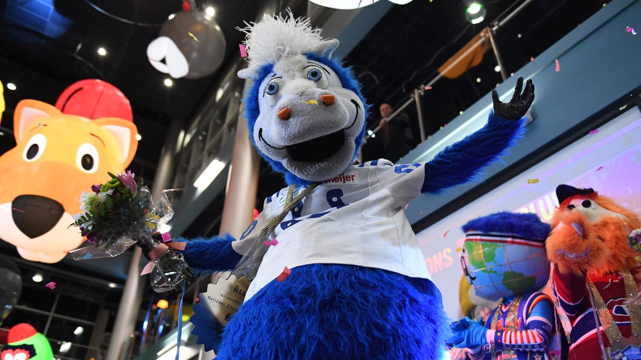 Bring home your very own Blue Colts mascot 