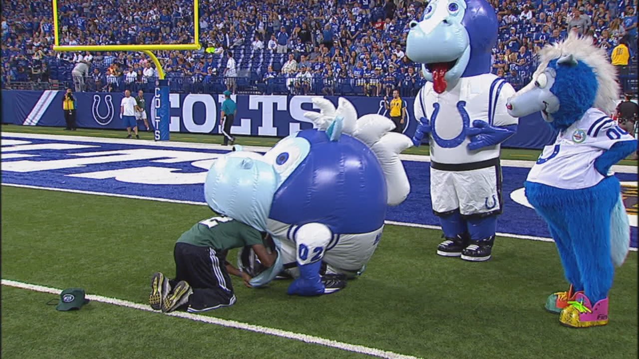 Colts Mascot - wide 10