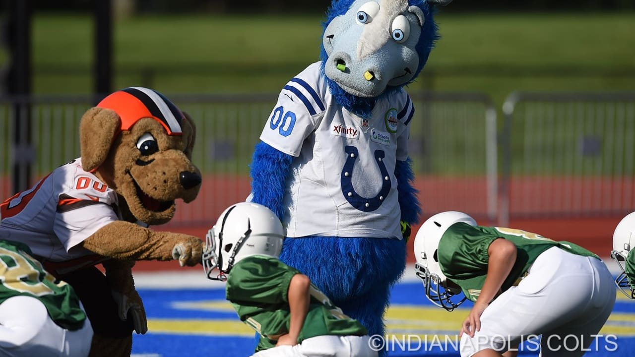 NFL Mascots vs PeeWees Football Game