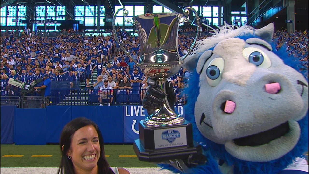 Indianapolis Colts' Blue shakes moneymaker in NFL mascot dance-off