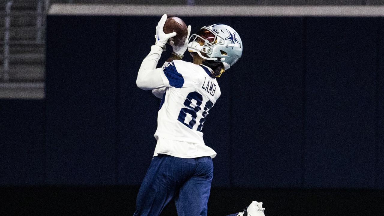 Practice Points Lamb's Status; New Role for LVE?