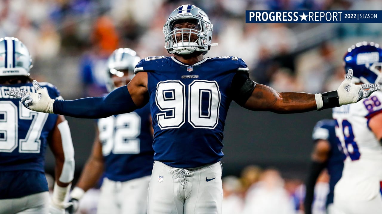 Progress Report: Resurgent Year For D-Law