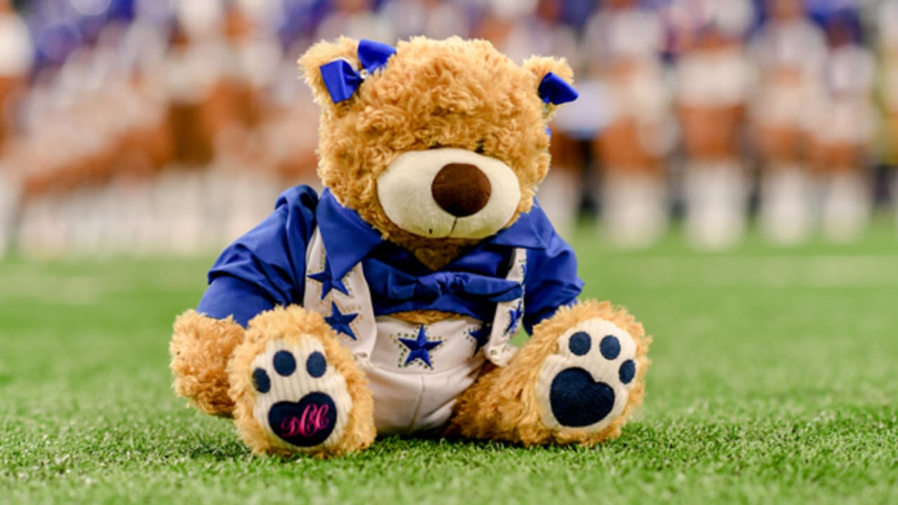 NFL Dallas Cowboys Football Plush Bear With Accessories