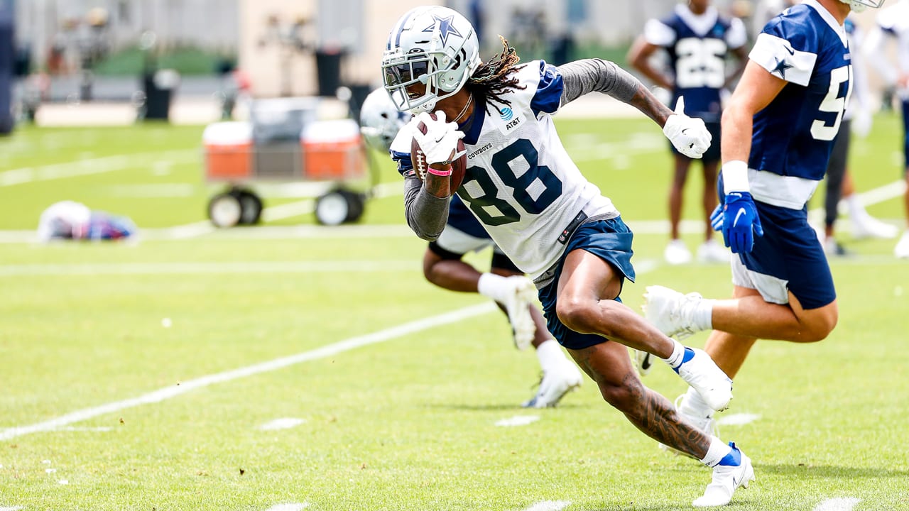 CowBuzz: Irvin, Dez Respond To Lamb Getting 88