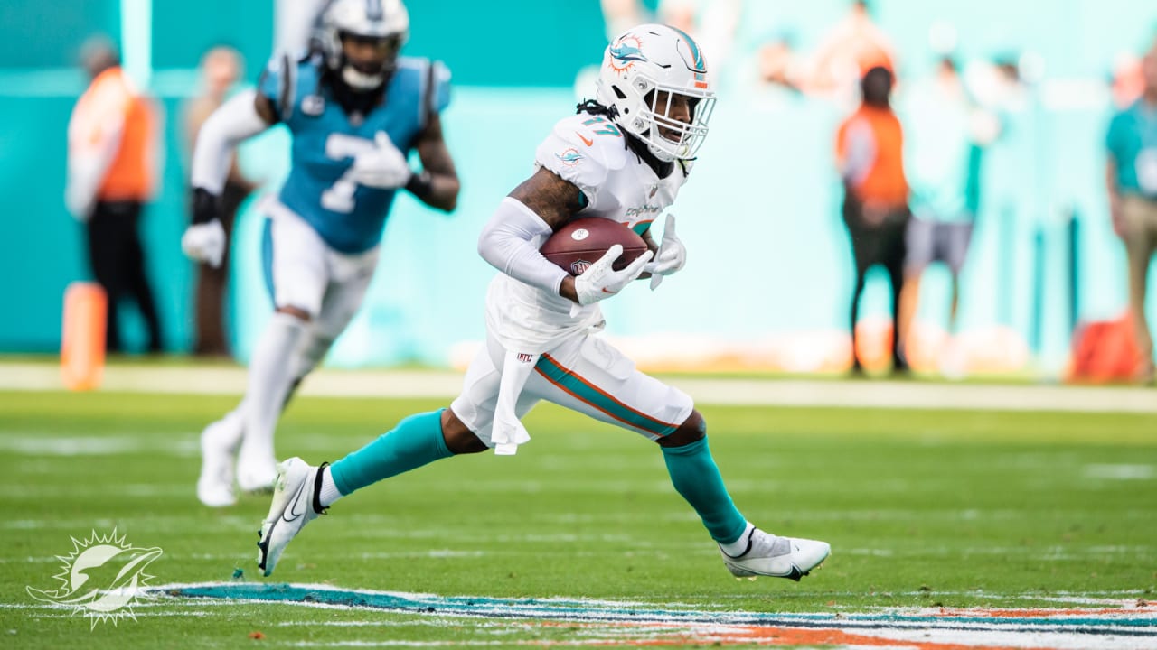 Miami Dolphins vs. Carolina Panthers: Scenes from NFL Week 12 game