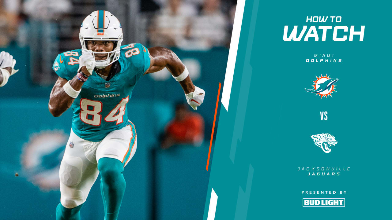 How to Watch the Miami Dolphins