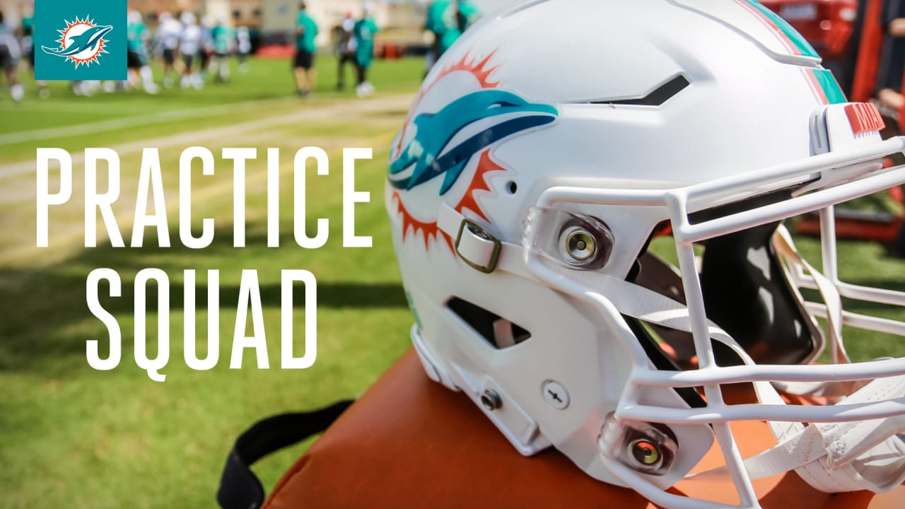 Miami Dolphins Sign 10 To Practice Squad