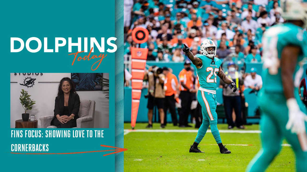 Dolphins Today February 26