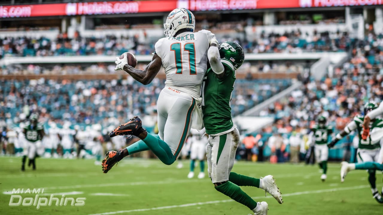 Miami Dolphins on X: The 2019 season is approaching Get your