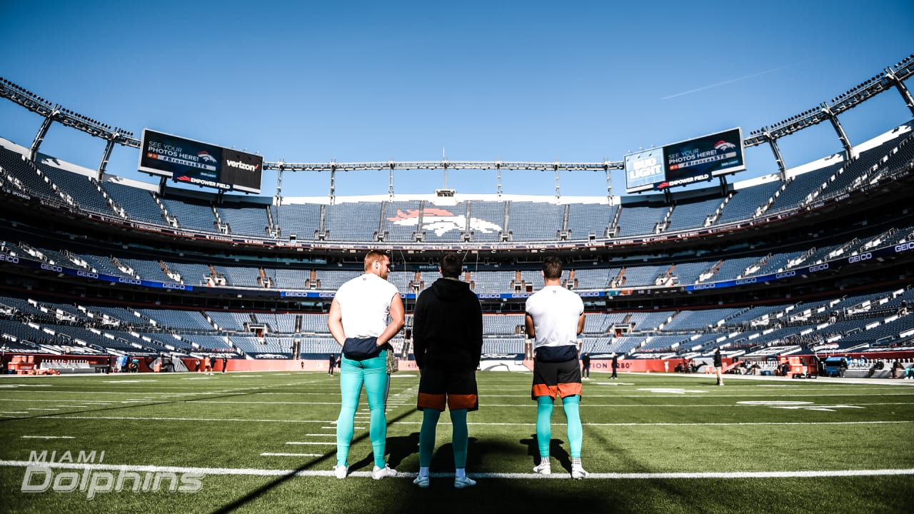 Fans dress up for Halloween at the Detroit Lions-Denver Broncos game at  Sports Authority Field