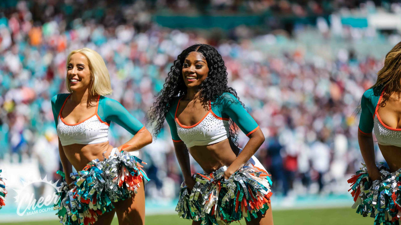 PHOTOS: Dolphins Cheer  Texans vs. Dolphins - Week 9