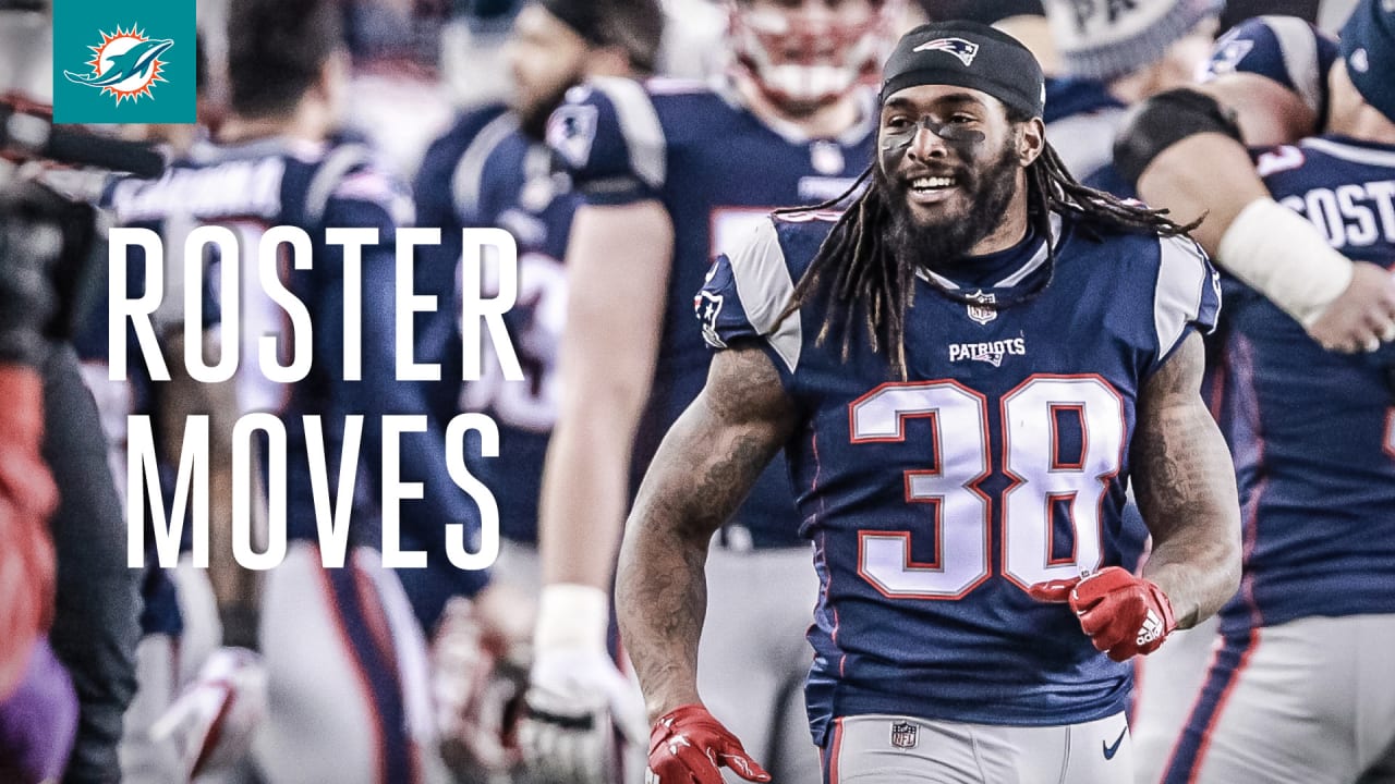 Dolphins sign Brandon Bolden, release Travis Swanson (maybe?) - The  Phinsider